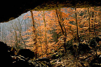 Lost Valley, Buffalo River