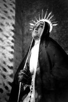 Photo by Mark D. Lacy