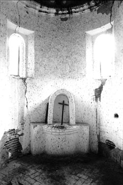 Photo by Mark D. Lacy