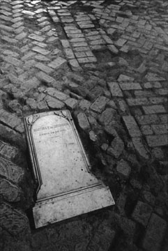 Photo by Mark D. Lacy