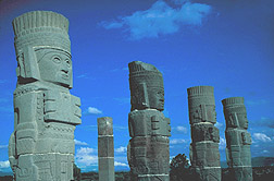 Photo by Mark D. Lacy